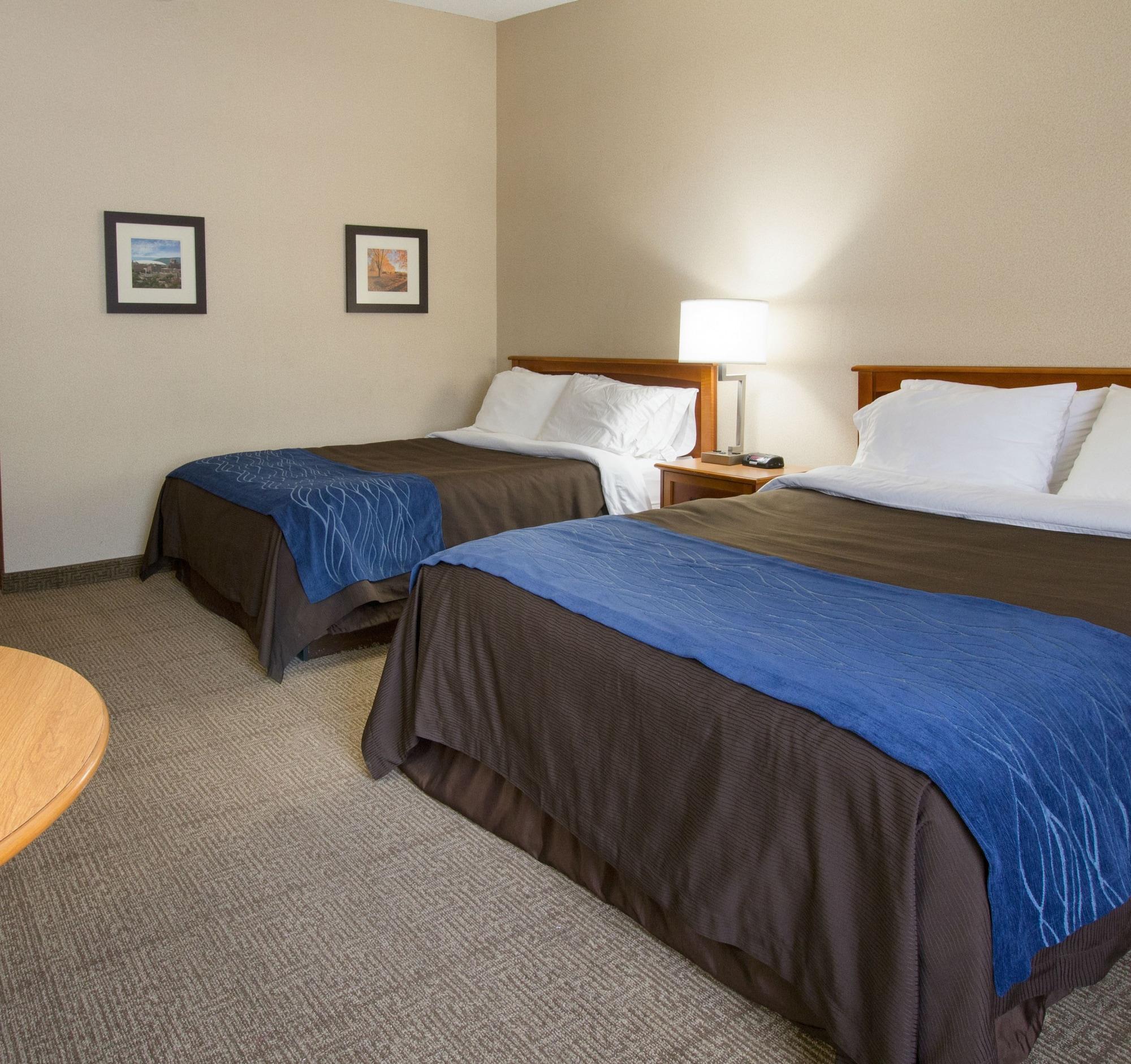Comfort Inn & Suites Syracuse-Carrier Circle Източна Сиракуза Екстериор снимка