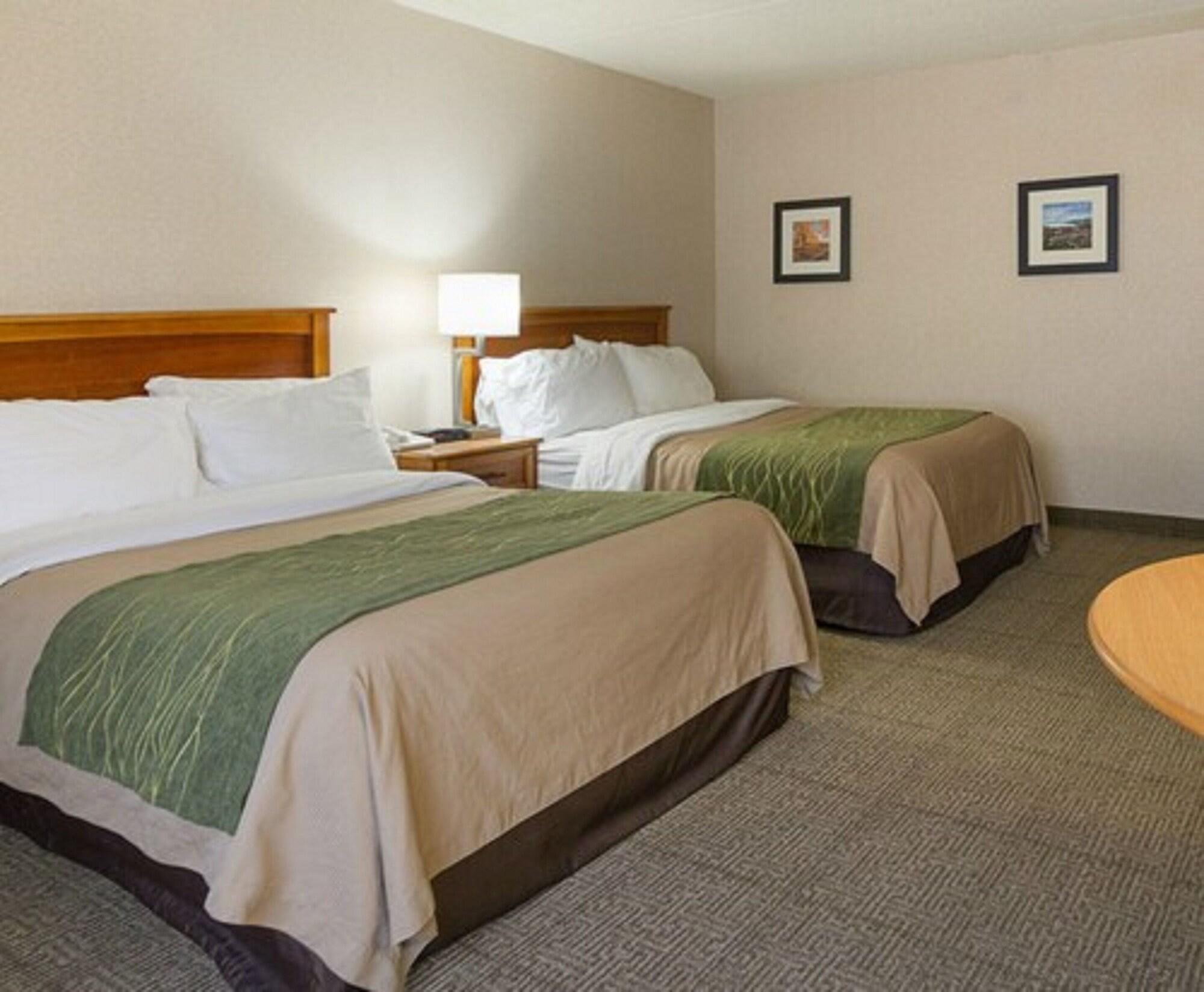 Comfort Inn & Suites Syracuse-Carrier Circle Източна Сиракуза Екстериор снимка