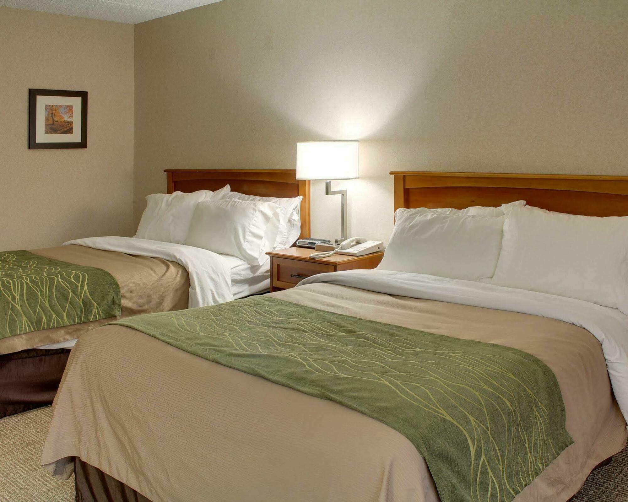 Comfort Inn & Suites Syracuse-Carrier Circle Източна Сиракуза Екстериор снимка